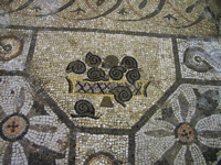 P5283909