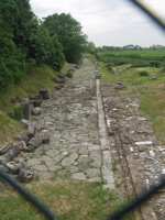 P5283918