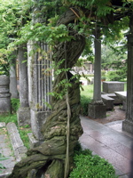 P5283956