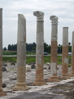 P5283920