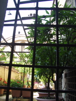 P5304019