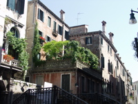 P5304061