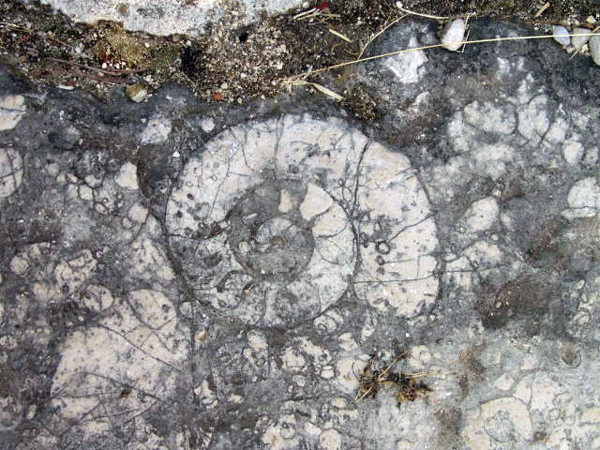 P5253728