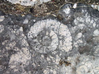 P5253728