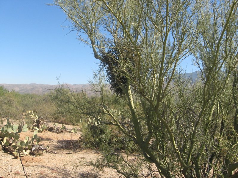 AZ visit - 122