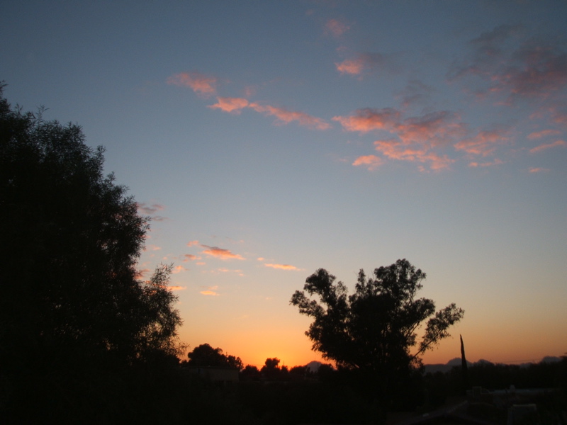 AZ visit - 227