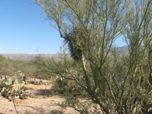 AZ visit - 122