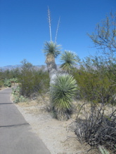AZ visit - 133