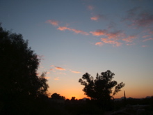 AZ visit - 227