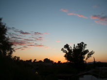AZ visit - 236