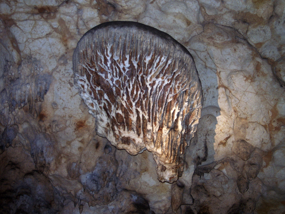 P3158286