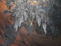 P3158278