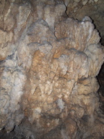 P3158279