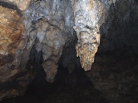 P3158282