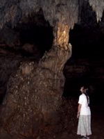 P3158283