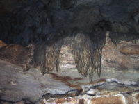 P3158284