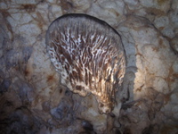 P3158286