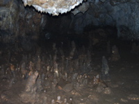 P3158287
