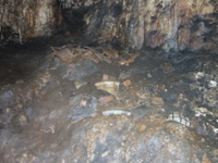 P3158289