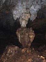 P3158290