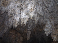 P3158291