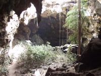 P3158267