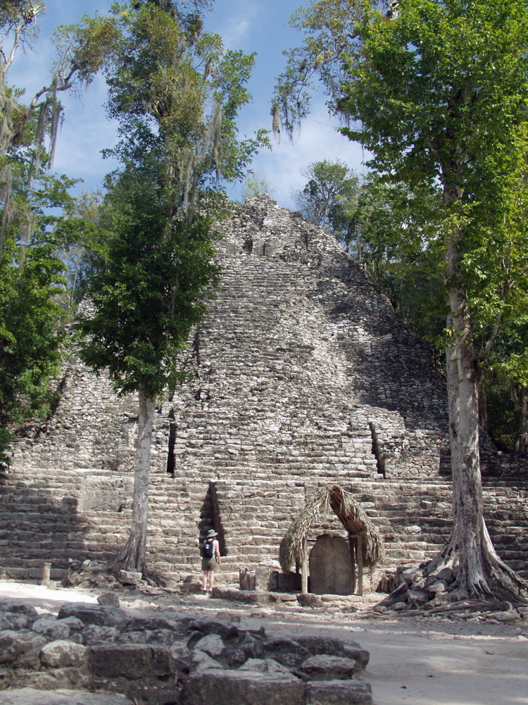 P3137861