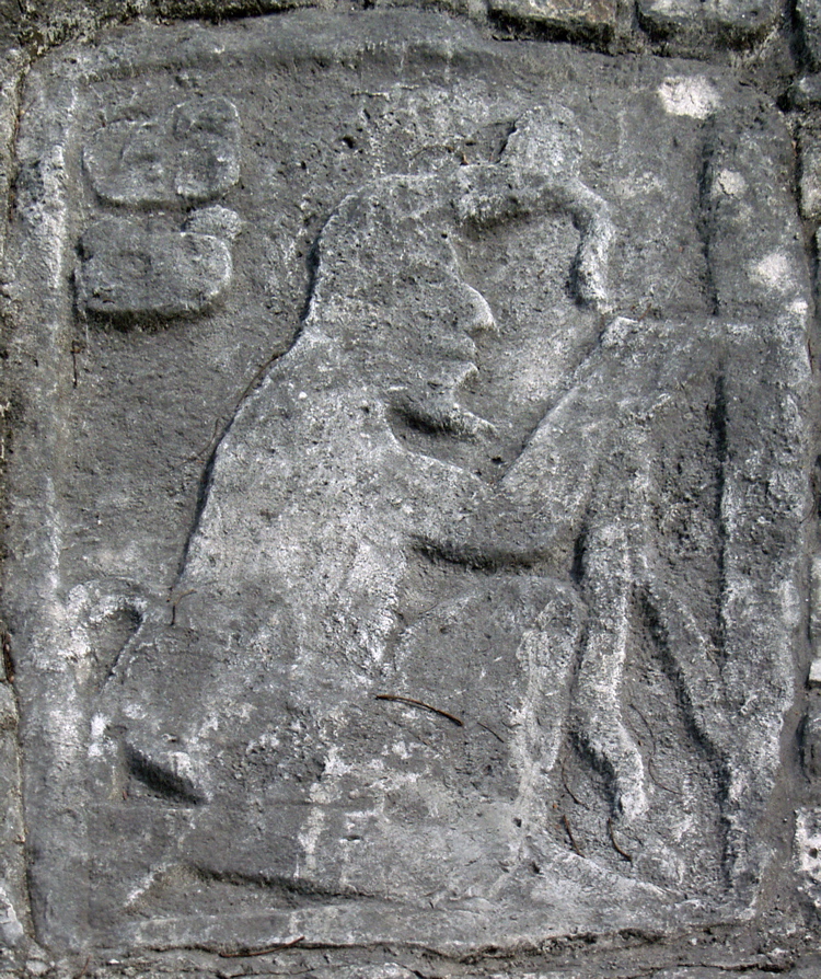 P3137890