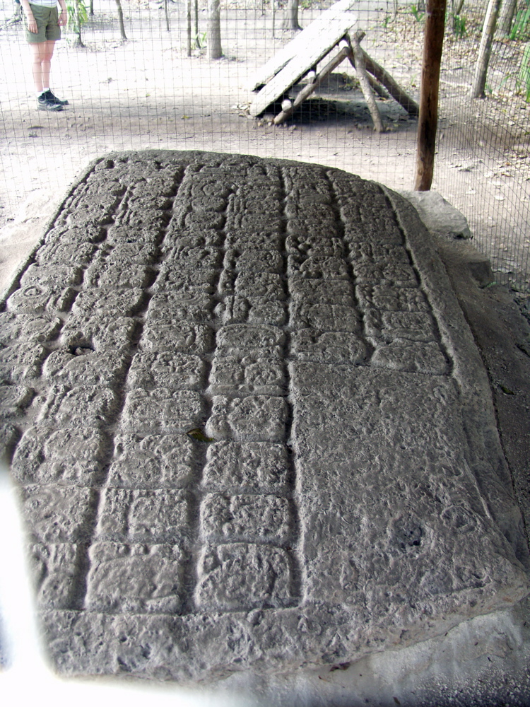 P3137891
