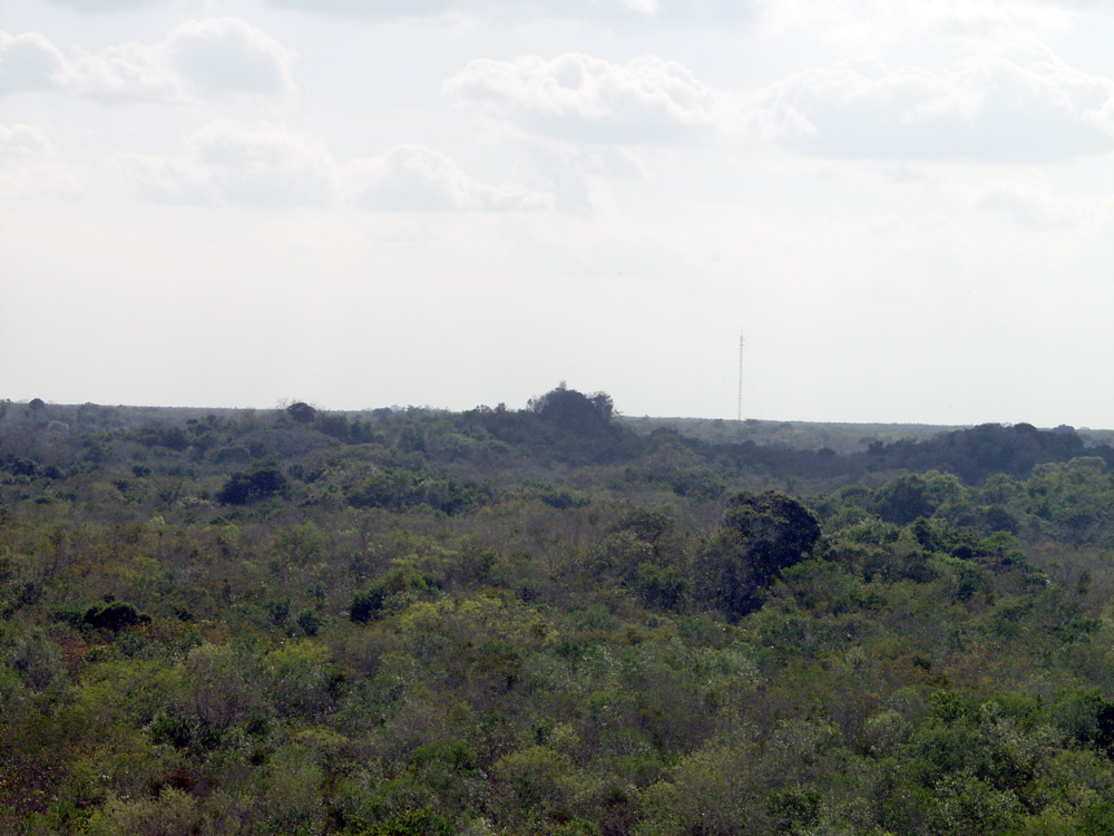 P3137898