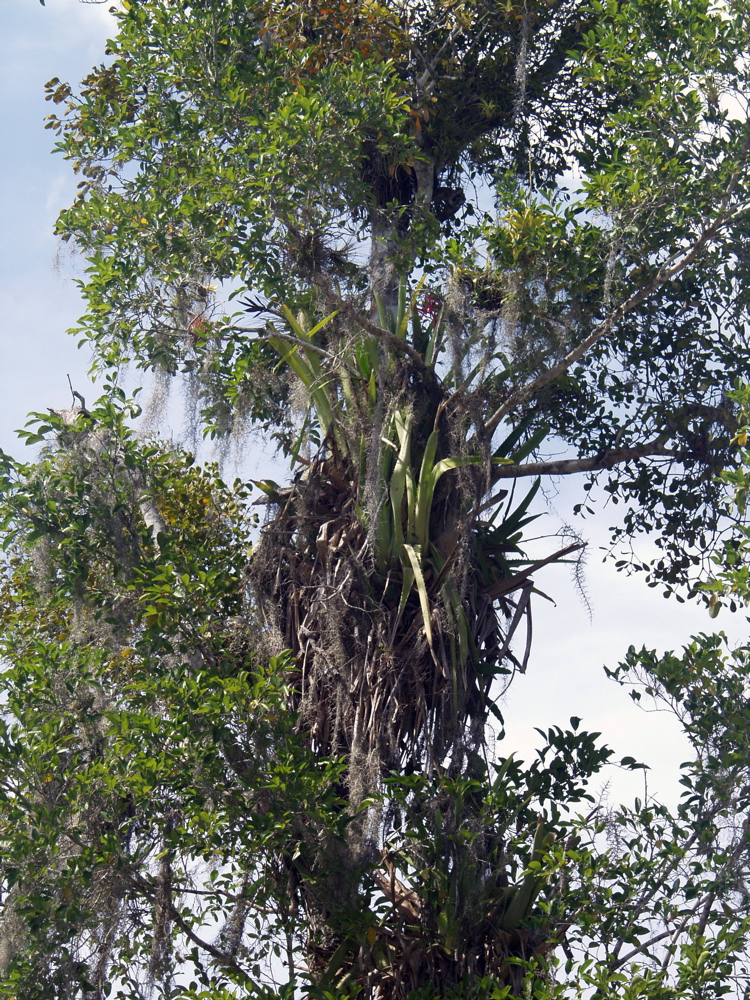 P3137865