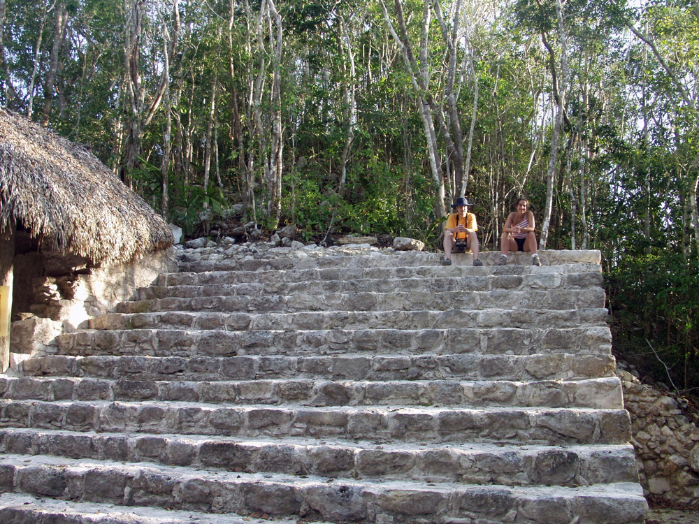 P3137935