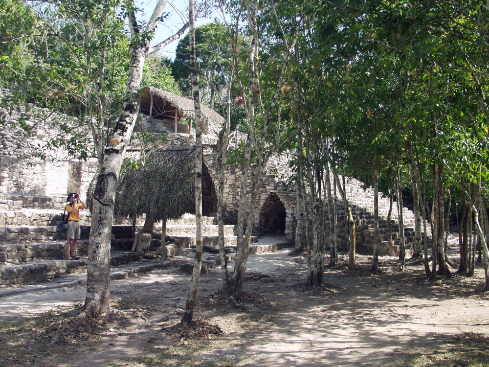 P3137867