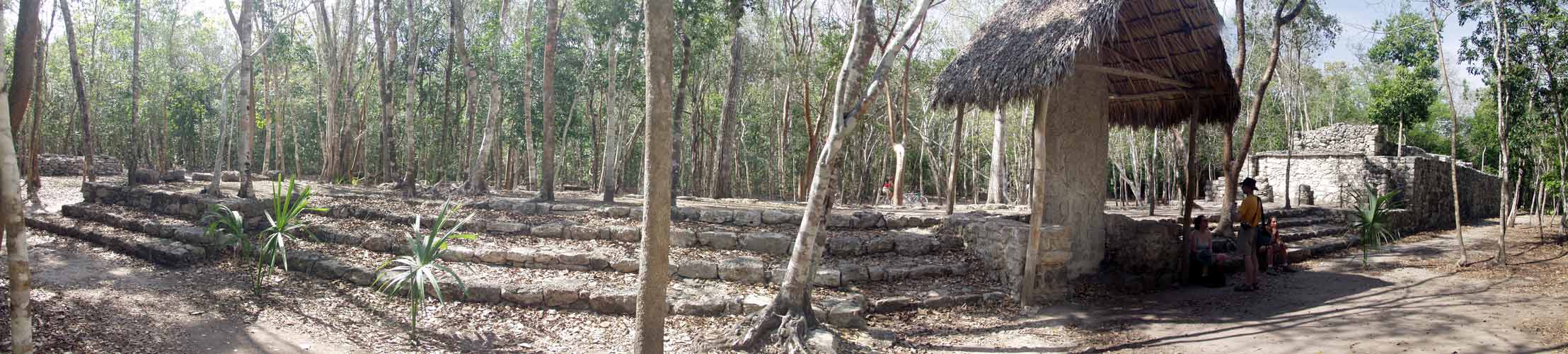 Coba Platform