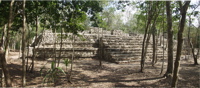 Coba platform 2