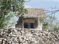 P3137882