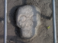 P3137889