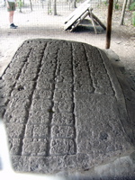 P3137891