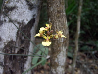 P3137892