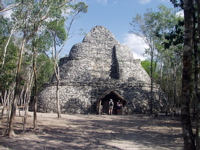 P3137894