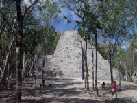 P3137895