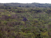 P3137897