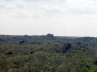 P3137898