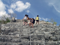 P3137908