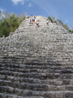 P3137909