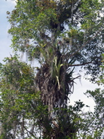 P3137865