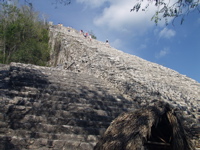 P3137917