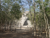P3137918