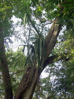 P3137919