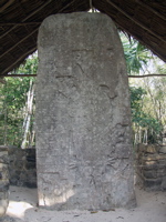 P3137924